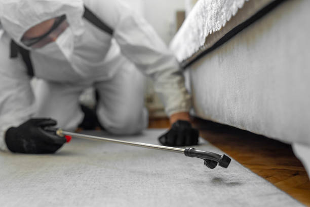 Professional Bed Bug Control technician working in Shelby County County, AL